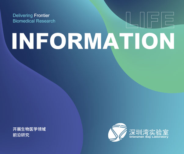 聘請上海專業(yè)Logo設(shè)計公司的五大好處